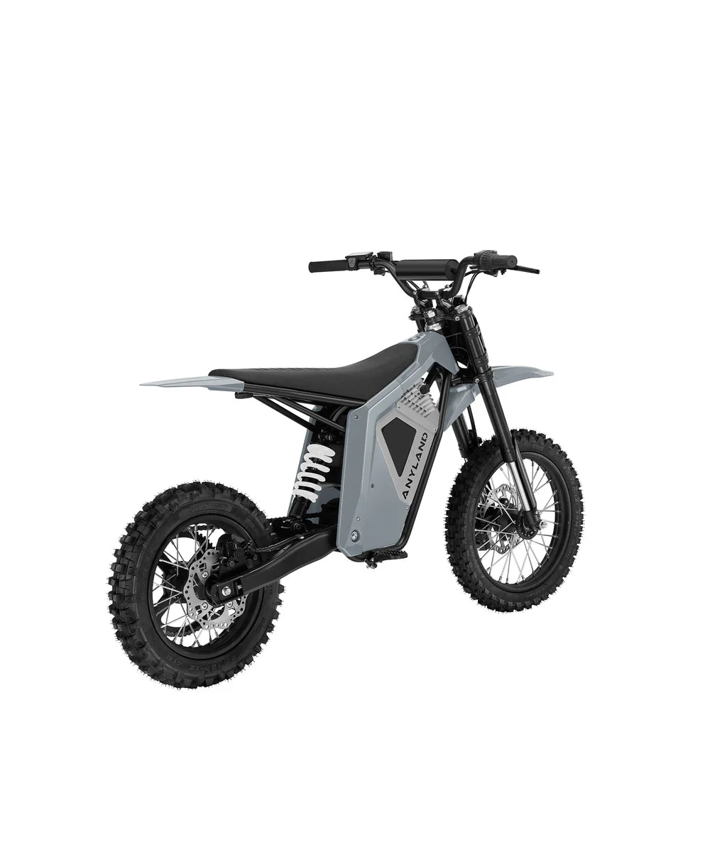 Electric bike anyland self wheelie