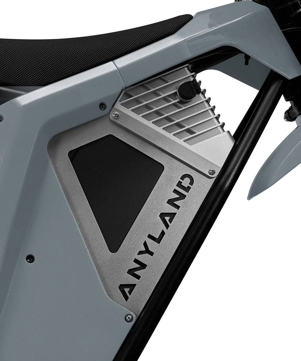 Electric bike anyland self wheelie
