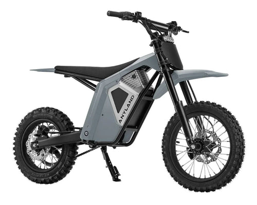 anyland ebike